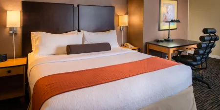 Holiday Inn Dublin-Pleasanton Отели рядом с достопримечательностью «Парк Ричард Фаи Виллидж Грин»