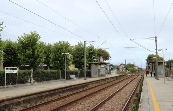 迷人阿古達 MP 海灘別墅酒店