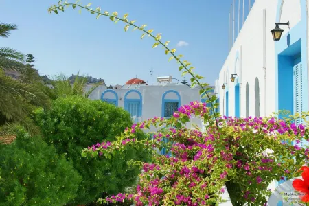 Katerina Apartments Отели в г. Остров Калимнос