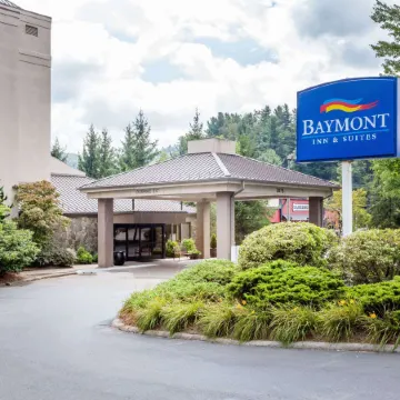 Holiday Inn BOONE - UNIVERSITY AREA by IHG