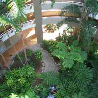 DoubleTree by Hilton Cairns Hotel Exterior