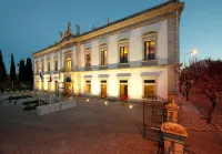 Pousada De Viseu Hotels in Insua