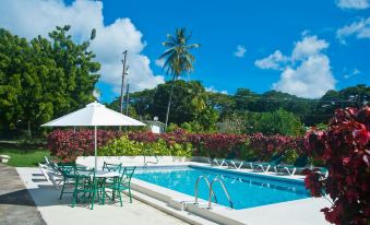 a beautiful outdoor swimming pool area with umbrellas , chairs , and tables , surrounded by lush greenery at Regent Apartments