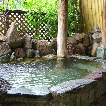 Sawatari Onsen Miyataya Ryokan