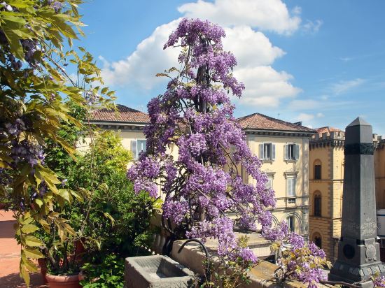 10 Best Hotels near Biblioteca Civica Carlo Bonetta, Pavia 2023 | Trip.com
