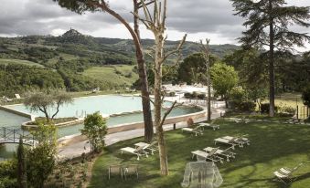 a large pool surrounded by green grass , with several lounge chairs and umbrellas placed around it at Albergo Posta Marcucci