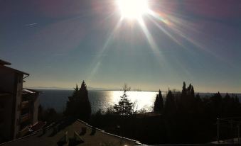 Black Sea View Apartments