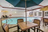 Clarion Hotel & Conference Centre - Pools