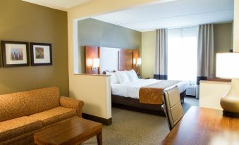 Comfort Suites Grand Rapids South