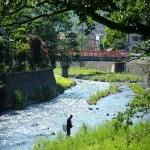 Atsumi Onsen Takinoya