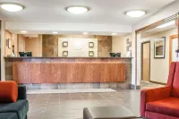 Comfort Inn - acceptant les animaux