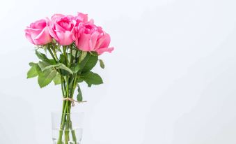 a bouquet of pink roses is displayed in a glass vase on a white background at Wrangler Inn Mobridge