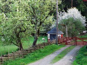 Smultronboda Fårgård