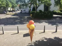 호텔 슈타트 마인츠 Stadecken-Elsheim 호텔