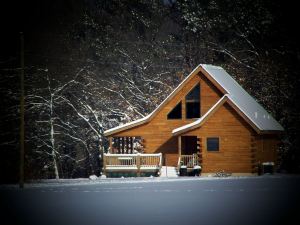 Bear Grove Cabins