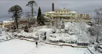 Carrington Hotel
