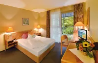 Schwarzwald Parkhotel Các khách sạn ở Schramberg