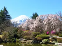 Fuji-View Hotel - Romantic