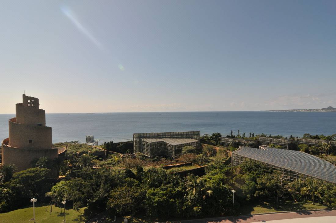 ウィステリア コンドミニアム リゾート 本部町 を宿泊予約 22年安い料金プラン 口コミ 部屋写真 Trip Com