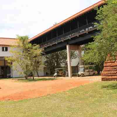 Sigiriya Jungles Hotel Exterior