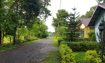 a country road with a house on the left and trees lining the right side of the road at Rainbow Resort