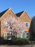3 Summertown Court