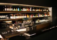 嘉義尊皇大飯店 - 酒吧