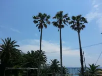Business Hotel Mikuni (Goto)