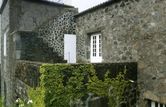 達斯巴卡斯之家