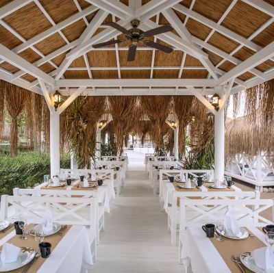 Restaurant Paloma Foresta Photo