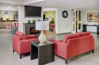 Comfort Inn Hotels in Dryden