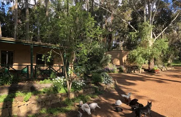 布里奇頓鄉村木屋