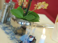 Restaurant Hotel Goldener Adler Hotels in Emden