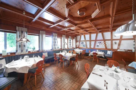 Waldhotel Bächlein Отели в г. Митвиц