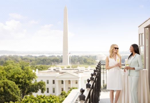 더 헤이-아담스