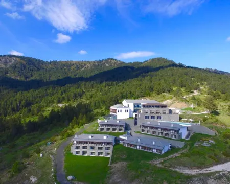 Grand Forest Metsovo - Leading Hotels of the World โรงแรมในMetsovo