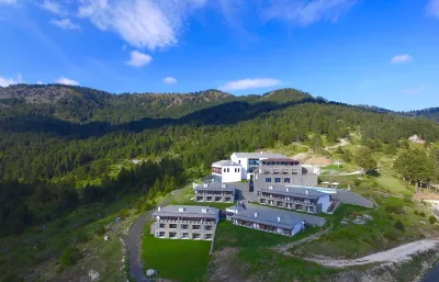 Grand Forest Metsovo - Leading Hotels of the World Отели в г. 