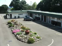 Flamingo Motel - Motels
