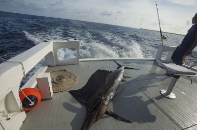 その他 タージ コーラル リーフ リゾート&スパ モルディブの写真