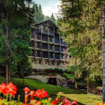 Ana Hotels Bradul Poiana Brasov Hotel Exterior