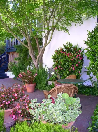 Monte Verde Inn
