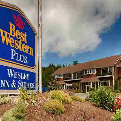 Best Western Wesley Inn  Suites Hotel Exterior