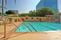 DoubleTree by Hilton LAX - El Segundo - Pools