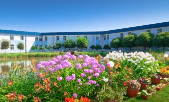 a beautiful garden with a variety of colorful flowers , including roses and other plants , surrounding a white building at Petro Sport Hotel
