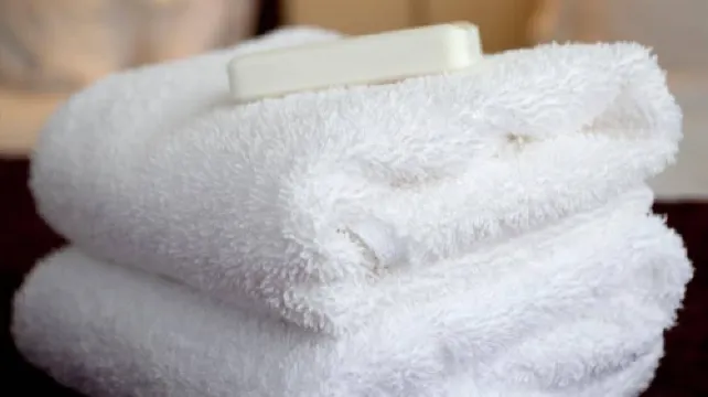 Luxury Inn by OYO Albany