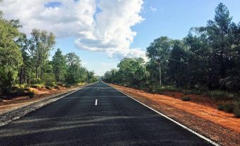 an empty long , straight road surrounded by trees and bushes , with a clear blue sky overhead at Balonne River Motor Inn