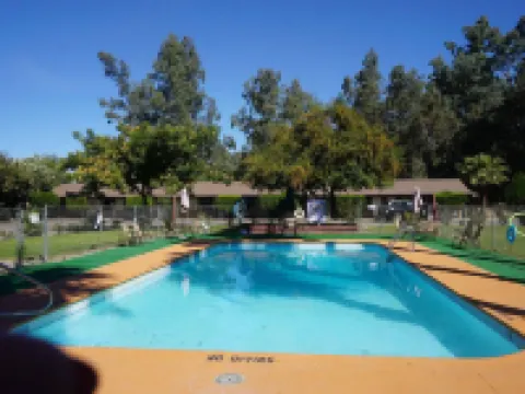 Blue Gum Motel Hotels in Willows