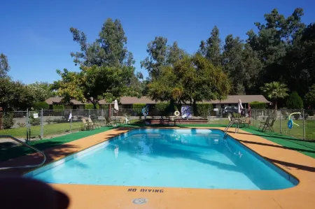 Blue Gum Motel Отели в г. Уиллоус