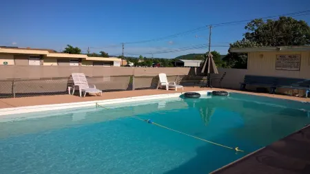 Dogwood Motel Отели рядом с достопримечательностью «Holiday Mountain Resort»