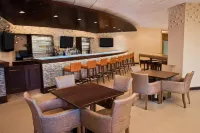 Sheraton Westport Plaza Hotel St. Louis - bar